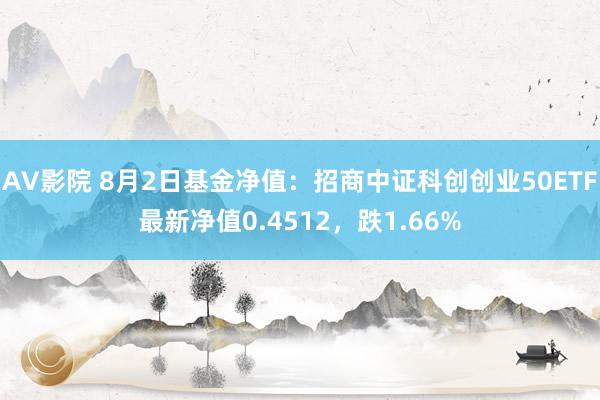 AV影院 8月2日基金净值：招商中证科创创业50ETF最新净值0.4512，跌1.66%