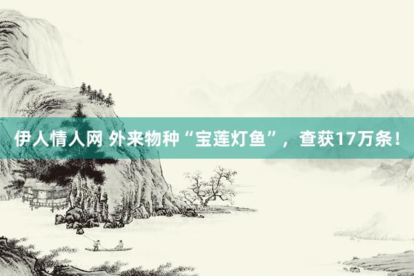 伊人情人网 外来物种“宝莲灯鱼”，查获17万条！