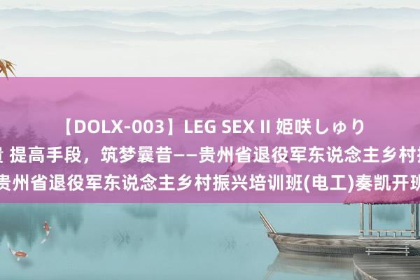 【DOLX-003】LEG SEX II 姫咲しゅり ゆりあ 眞雪ゆん 江口美貴 提高手段，筑梦曩昔——贵州省退役军东说念主乡村振兴培训班(电工)奏凯开班