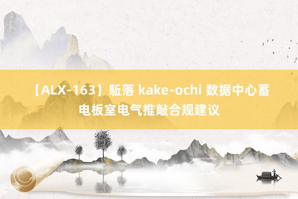 【ALX-163】駈落 kake-ochi 数据中心蓄电板室电气推敲合规建议