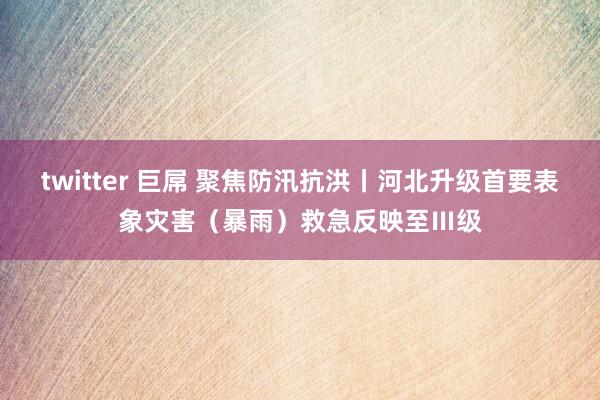 twitter 巨屌 聚焦防汛抗洪丨河北升级首要表象灾害（暴雨）救急反映至Ⅲ级