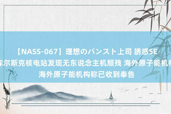 【NASS-067】理想のパンスト上司 誘惑SEX総集編 俄在库尔斯克核电站发现无东说念主机颓残 海外原子能机构称已收到奉告