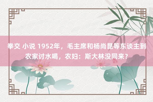 拳交 小说 1952年，毛主席和杨尚昆等东谈主到农家讨水喝，农妇：斯大林没同来？