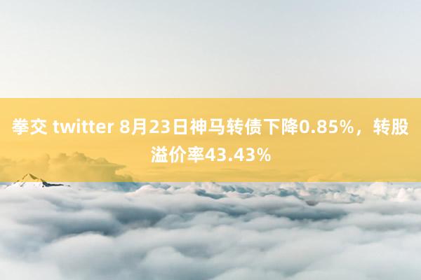 拳交 twitter 8月23日神马转债下降0.85%，转股溢价率43.43%