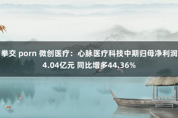 拳交 porn 微创医疗：心脉医疗科技中期归母净利润4.04亿元 同比增多44.36%