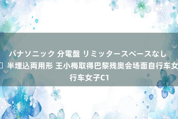 パナソニック 分電盤 リミッタースペースなし 露出・半埋込両用形 王小梅取得巴黎残奥会场面自行车女子C1