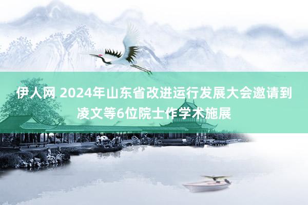 伊人网 2024年山东省改进运行发展大会邀请到凌文等6位院士作学术施展