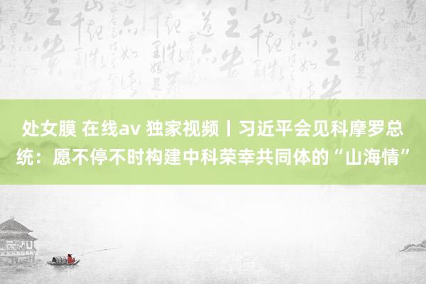 处女膜 在线av 独家视频丨习近平会见科摩罗总统：愿不停不时构建中科荣幸共同体的“山海情”