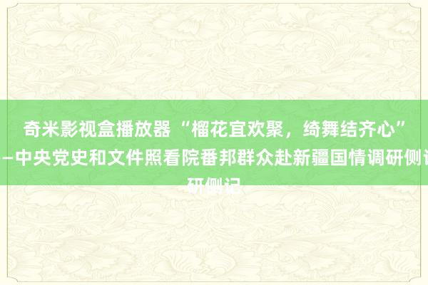 奇米影视盒播放器 “榴花宜欢聚，绮舞结齐心”——中央党史和文件照看院番邦群众赴新疆国情调研侧记