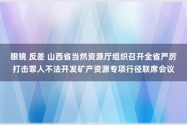 眼镜 反差 山西省当然资源厅组织召开全省严厉打击罪人不法开发矿产资源专项行径联席会议