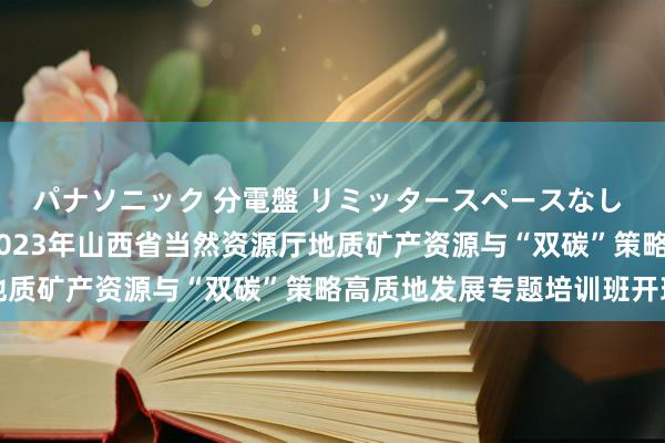 パナソニック 分電盤 リミッタースペースなし 露出・半埋込両用形 2023年山西省当然资源厅地质矿产资源与“双碳”策略高质地发展专题培训班开班