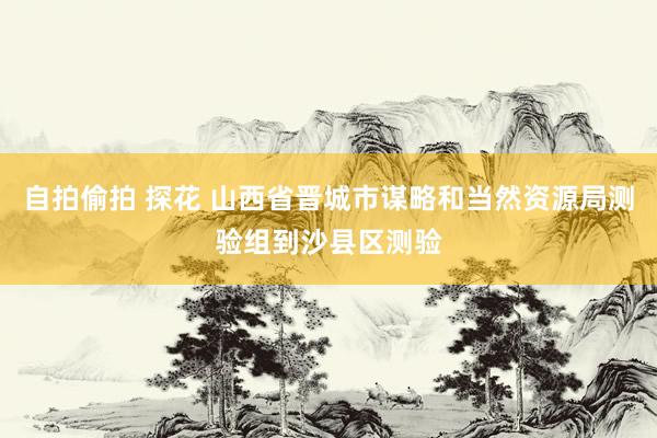 自拍偷拍 探花 山西省晋城市谋略和当然资源局测验组到沙县区测验